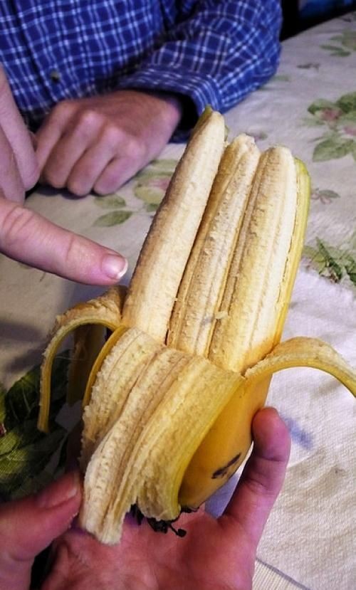 hornoxe.com_picdump325_068