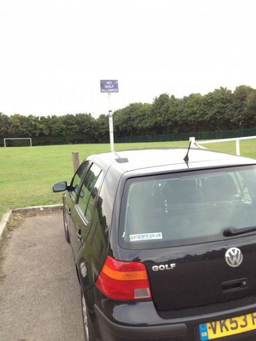 hornoxe.com_picdump325_070