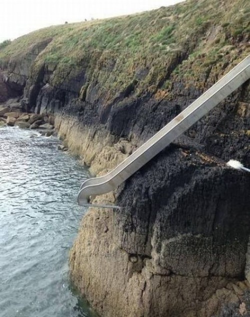 hornoxe.com_picdump325_080