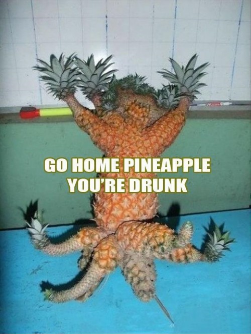 hornoxe.com_picdump325_092