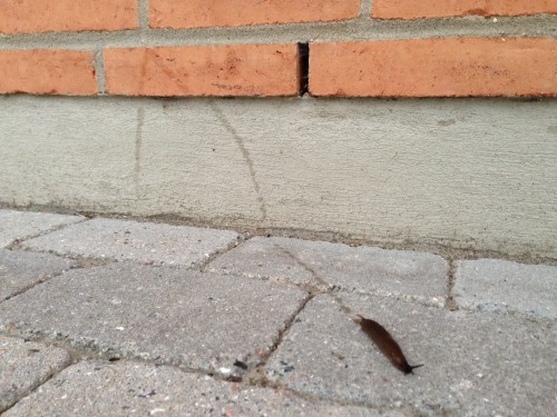 hornoxe.com_picdump325_097