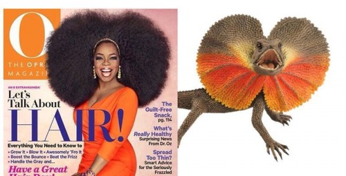 hornoxe.com_picdump325_107