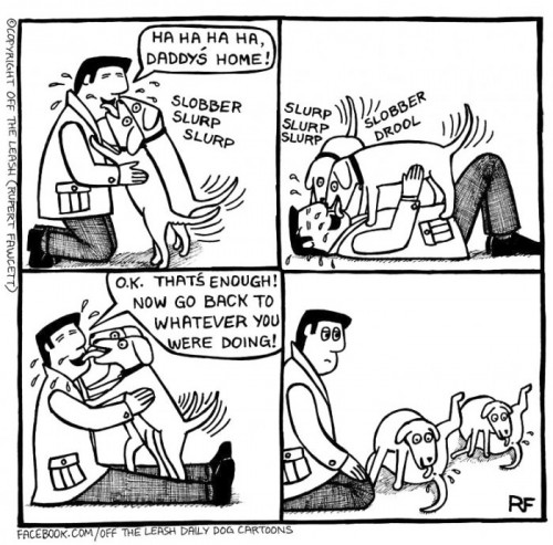 hornoxe.com_picdump326_005