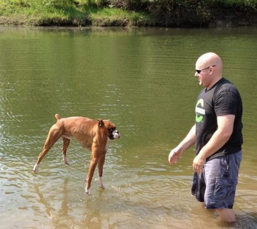 hornoxe.com_picdump326_027