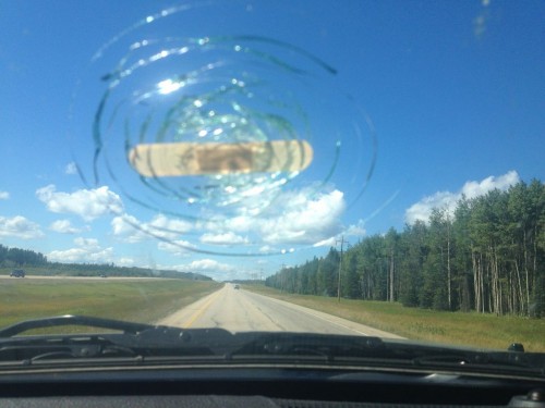 hornoxe.com_picdump326_060