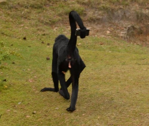 hornoxe.com_picdump326_068