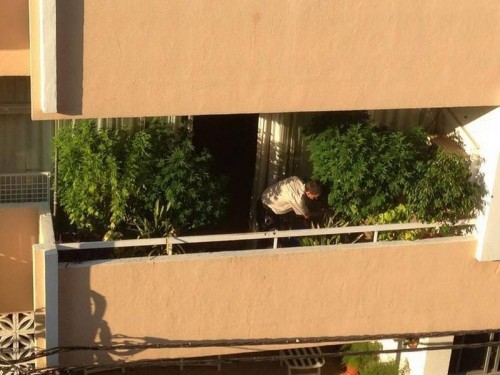 hornoxe.com_picdump326_069