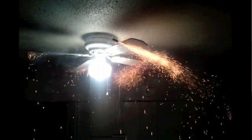 hornoxe.com_picdump326_116