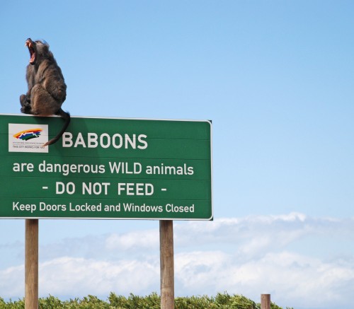 hornoxe.com_picdump326_118