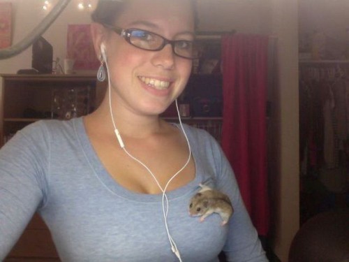 PUBLISHED by catsmob.com