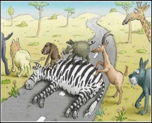 PUBLISHED by catsmob.com