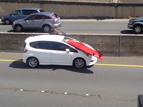 PUBLISHED by catsmob.com