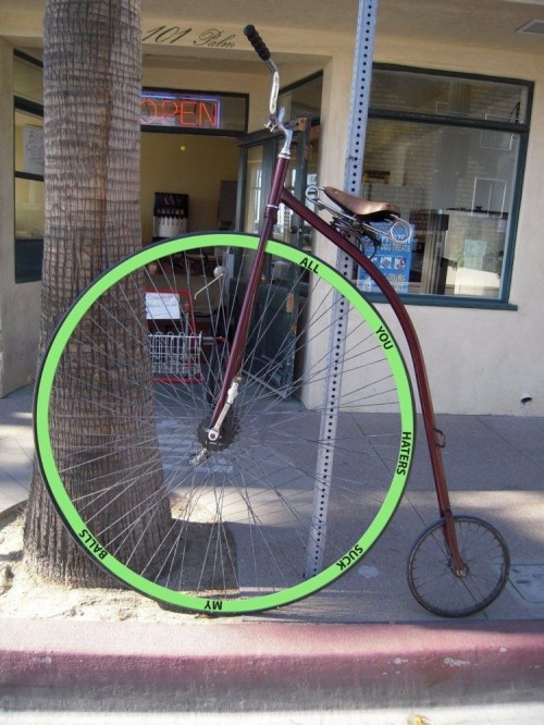 PUBLISHED by catsmob.com