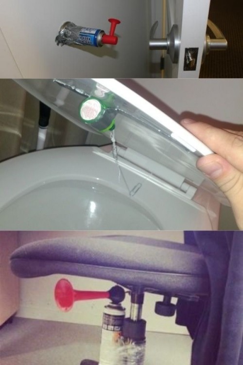 PUBLISHED by catsmob.com