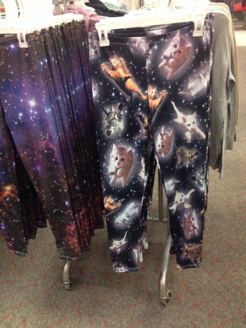 PUBLISHED by catsmob.com