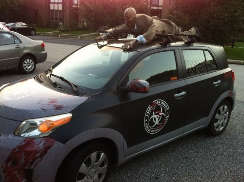 PUBLISHED by catsmob.com