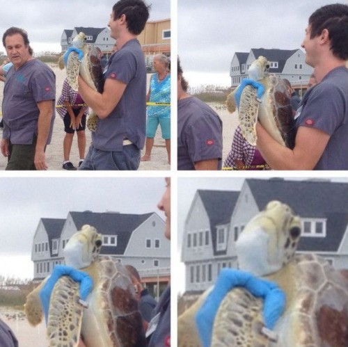 PUBLISHED by catsmob.com