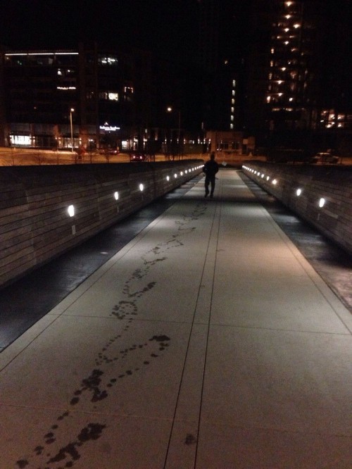 PUBLISHED by catsmob.com