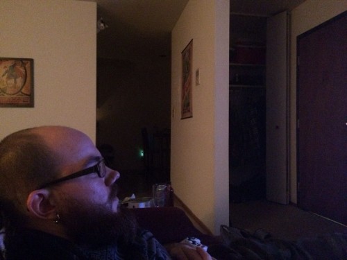 PUBLISHED by catsmob.com