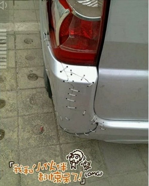 PUBLISHED by catsmob.com