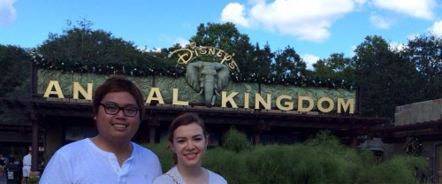 PUBLISHED by catsmob.com