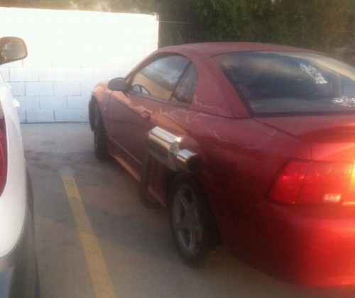 PUBLISHED by catsmob.com