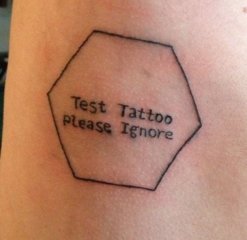 PUBLISHED by catsmob.com