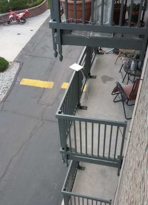 PUBLISHED by catsmob.com