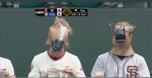 PUBLISHED by catsmob.com