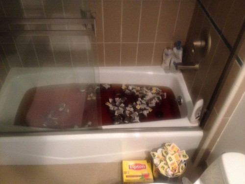 PUBLISHED by catsmob.com