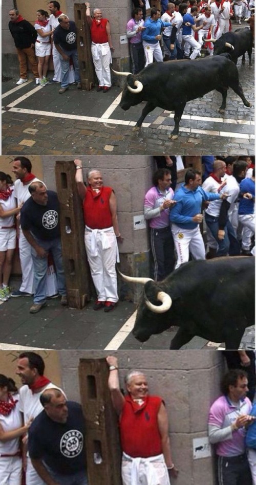 PUBLISHED by catsmob.com