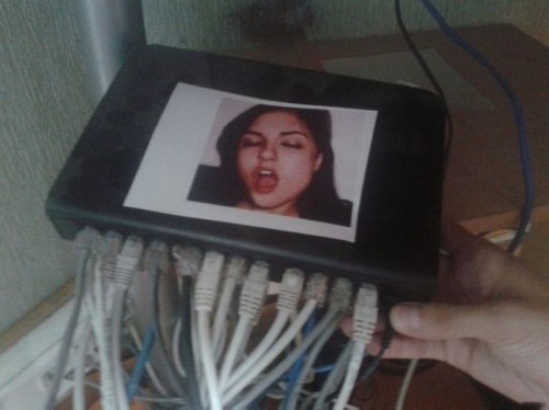 PUBLISHED by catsmob.com