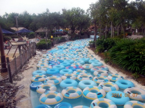 PUBLISHED by catsmob.com