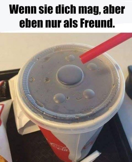 18739890_1482036638522209_6093654272439522756_n