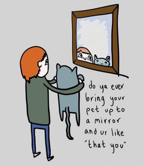 18814094_1550017711706041_46561268979264818_n