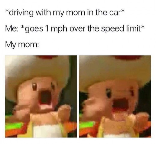 18839031_1551289238245555_5097083252285753537_n