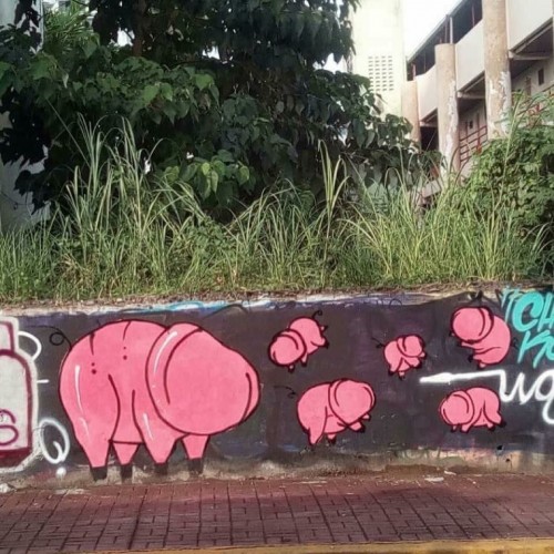 tumblr_oqsqlwmyuo1rn7bzro1_1280