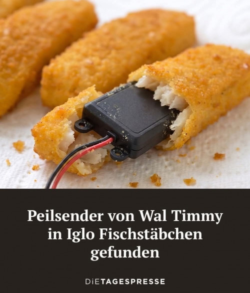 picdump975_06