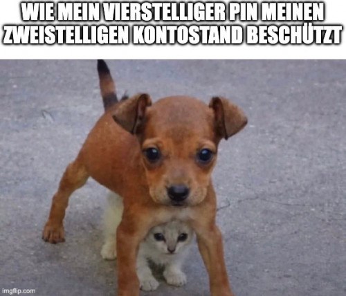 picdump975_27