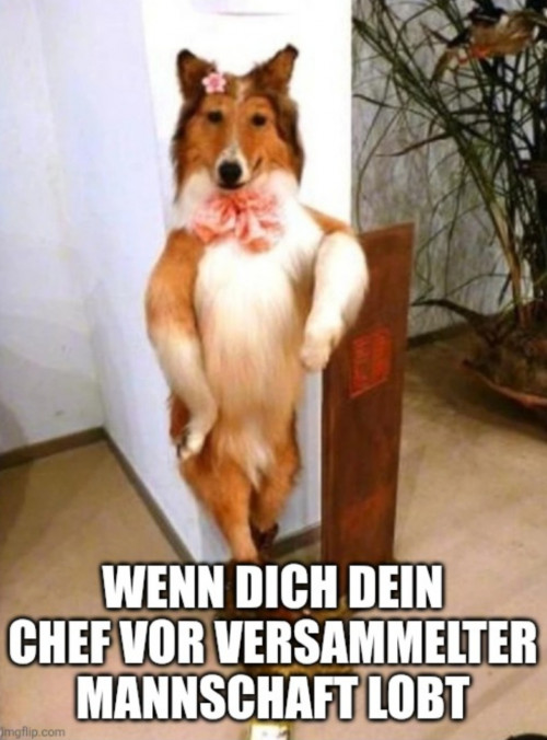 picdump975_29