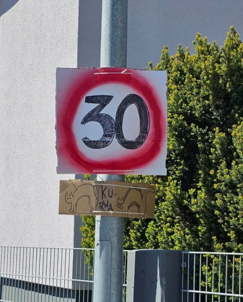 picdump976_02