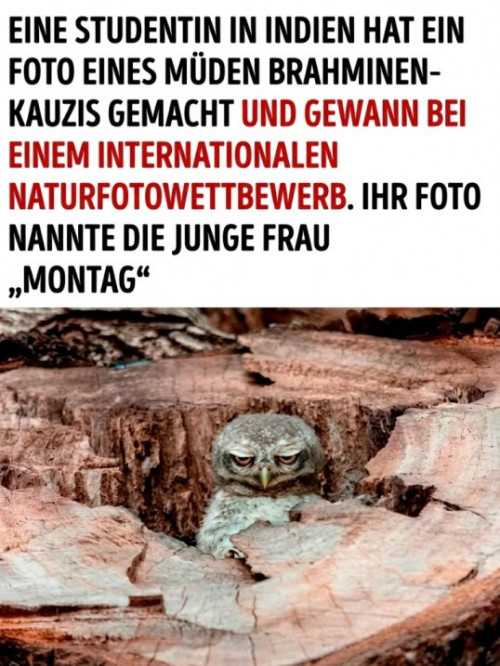 picdump976_24