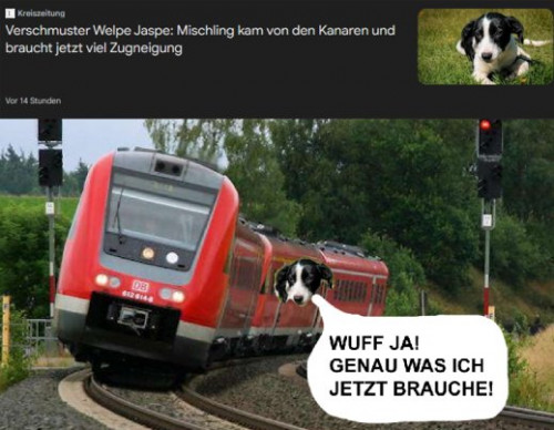 picdump977_14