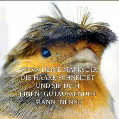 picdump977_20
