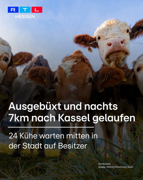 picdump977_27
