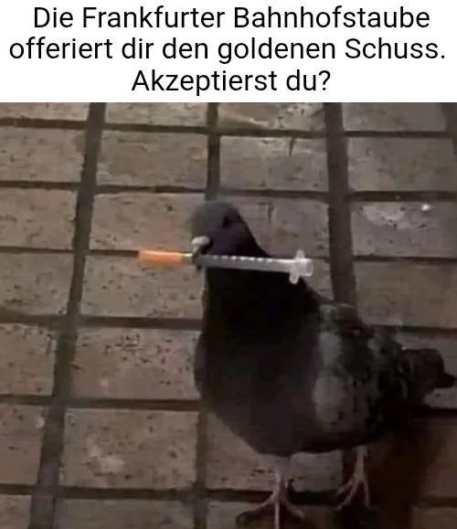 picdump978_052