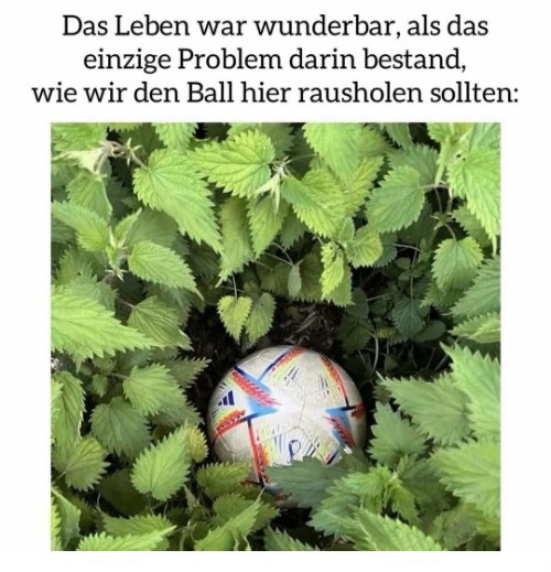 picdump978_067