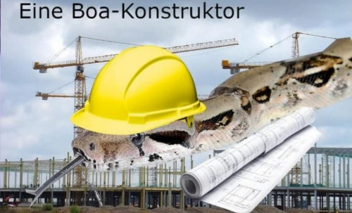 picdump978_080