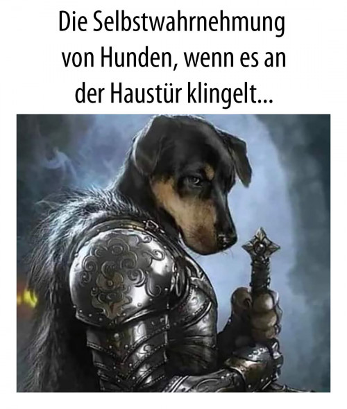 picdump978_096