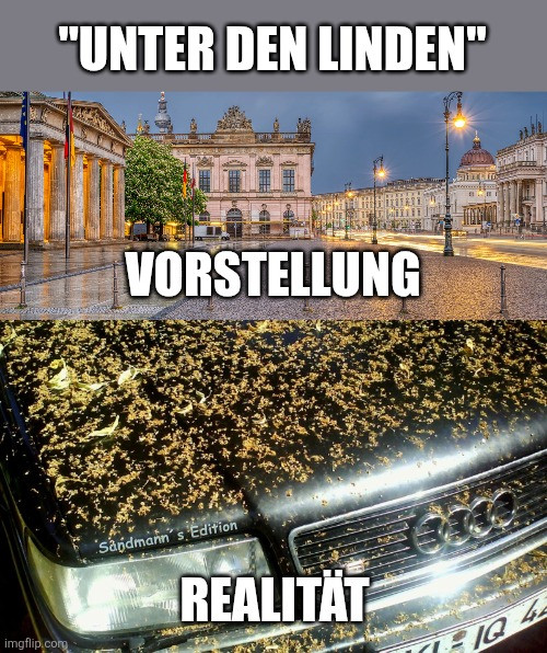 picdump978_099